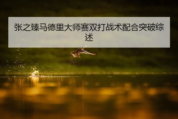 张之臻马德里大师赛双打战术配合突破综述