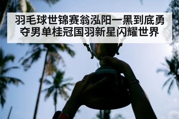 羽毛球世锦赛翁泓阳一黑到底勇夺男单桂冠国羽新星闪耀世界