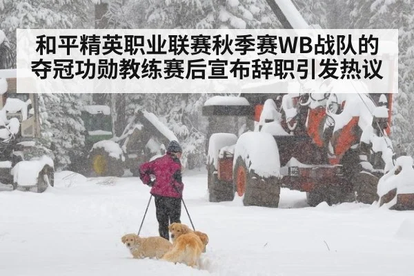 和平精英职业联赛秋季赛WB战队的夺冠功勋教练赛后宣布辞职引发热议